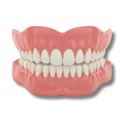 Eccoba™ - Denture Set